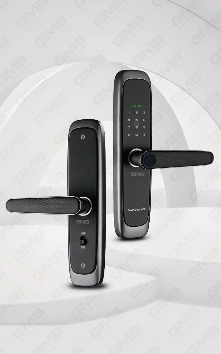 Interieur en appartement Smart Lock (635)