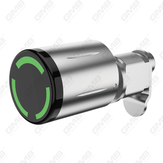 Hoogbeveiliging Multi-unlocking manieren IP65 keyless wifi digitaal verstelbaar modulair profiel slimme elektronische deurslotcilinder （5A08）