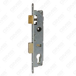 Hoge veiligheidsaluminium smalle deurslot cilinder smal gegalvaniseerd afwerking slotlichaam (361-20L)