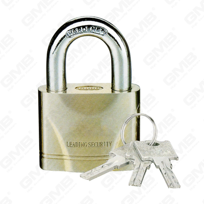 Ice Spray Proof gegoten zinklegering slot hangslot(074)