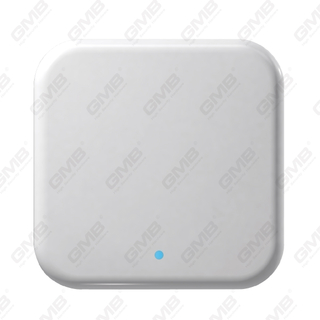 TTLOCK Gateway WiFi Smart Digital Gateway voor Smart Lock Remote Control (G2)