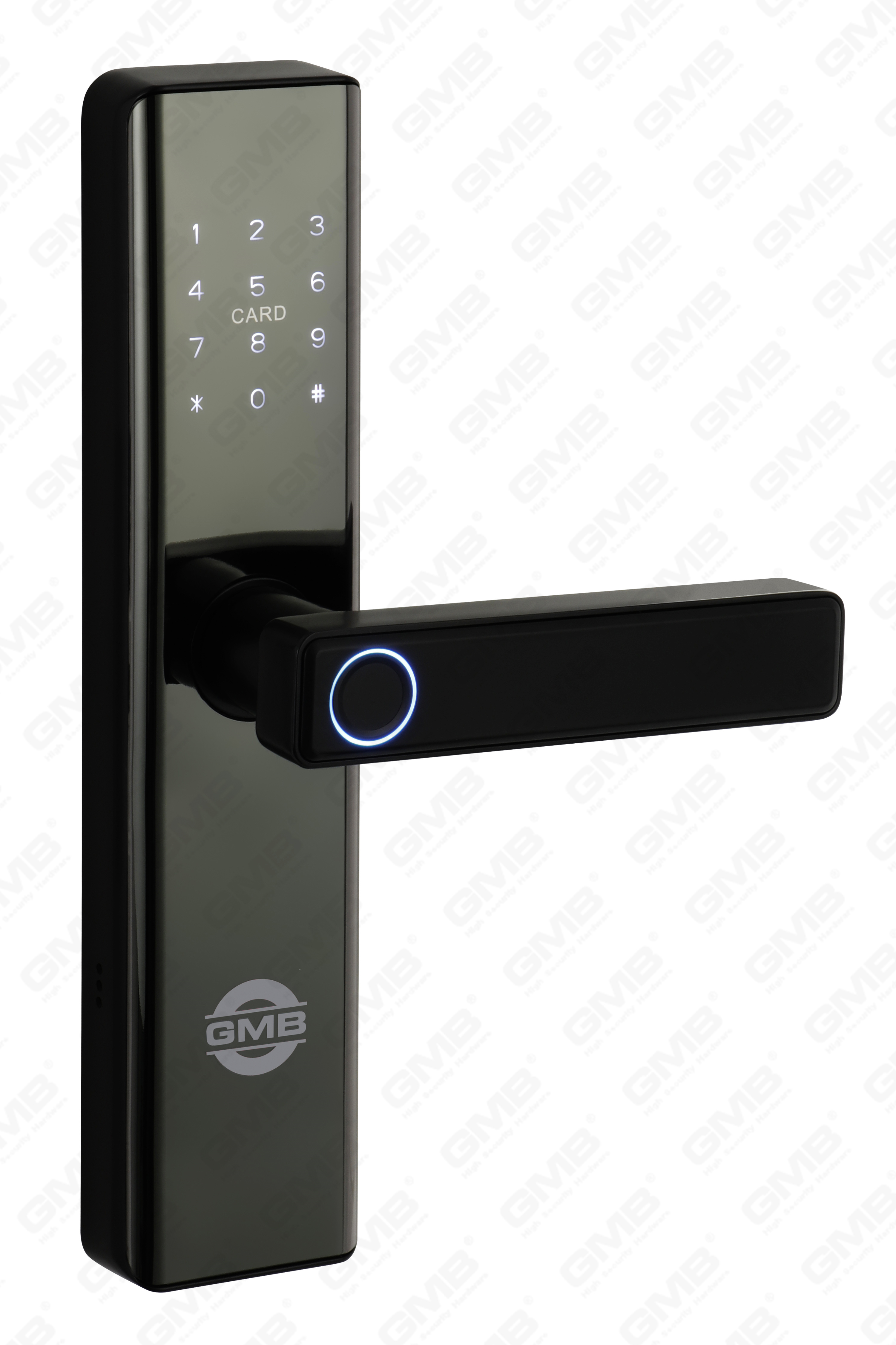 High Security Fingerprint/RFID-kaart/WiFi/Tuya/TT-app/met Camera Intelligent Anti-Peep Digital Smart Door Lock (660p)