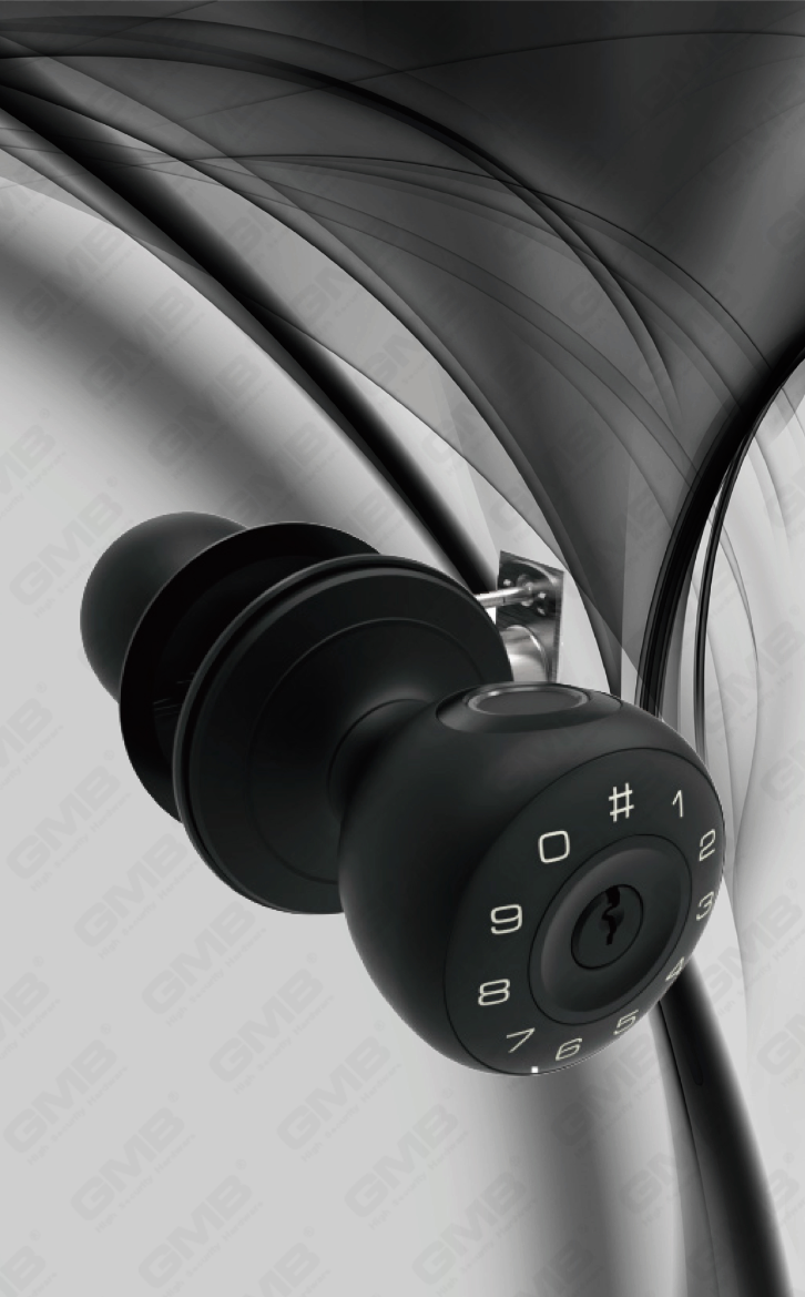 Smart Handle Lock (411)