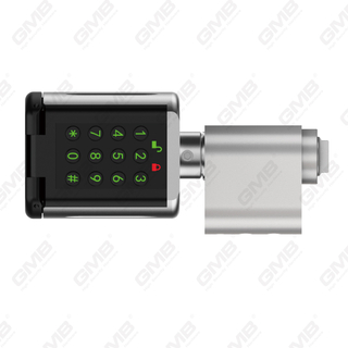 Hoogbeveiliging Multi-unlocking manieren IP66 vingerafdrukwachtwoord keyless wifi digitaal verstelbaar modulair profiel tuya/tt app slimme elektronische deurslotcilinder (5D03)