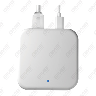 G3 Gateway Ttlock Tthotel Wired WiFi -verbinding voor slimme deursloten (G3)