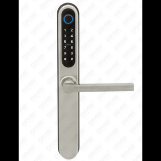 Europese standaard waterdichte sleutelloze invoer TT draadloos digitale wachtwoord vingerafdruk MF -kaart Smart Door Lock (U049)