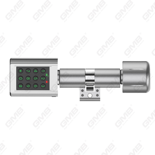 Hoogbeveiliging Multi-Unlocking manieren IP66 vingerafdrukwachtwoord keyless slimme elektronische deurslotcilinder (5C04)