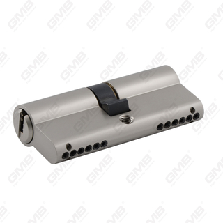 Beveiliging messingcilinder met afneembare structuur (GMB-CY-47)