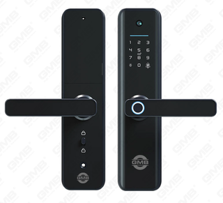 High Security Fingerprint/RFID-kaart/WiFi/Tuya/TT-app/met Camera Intelligent Anti-Peep Digital Smart Door Lock (660p)