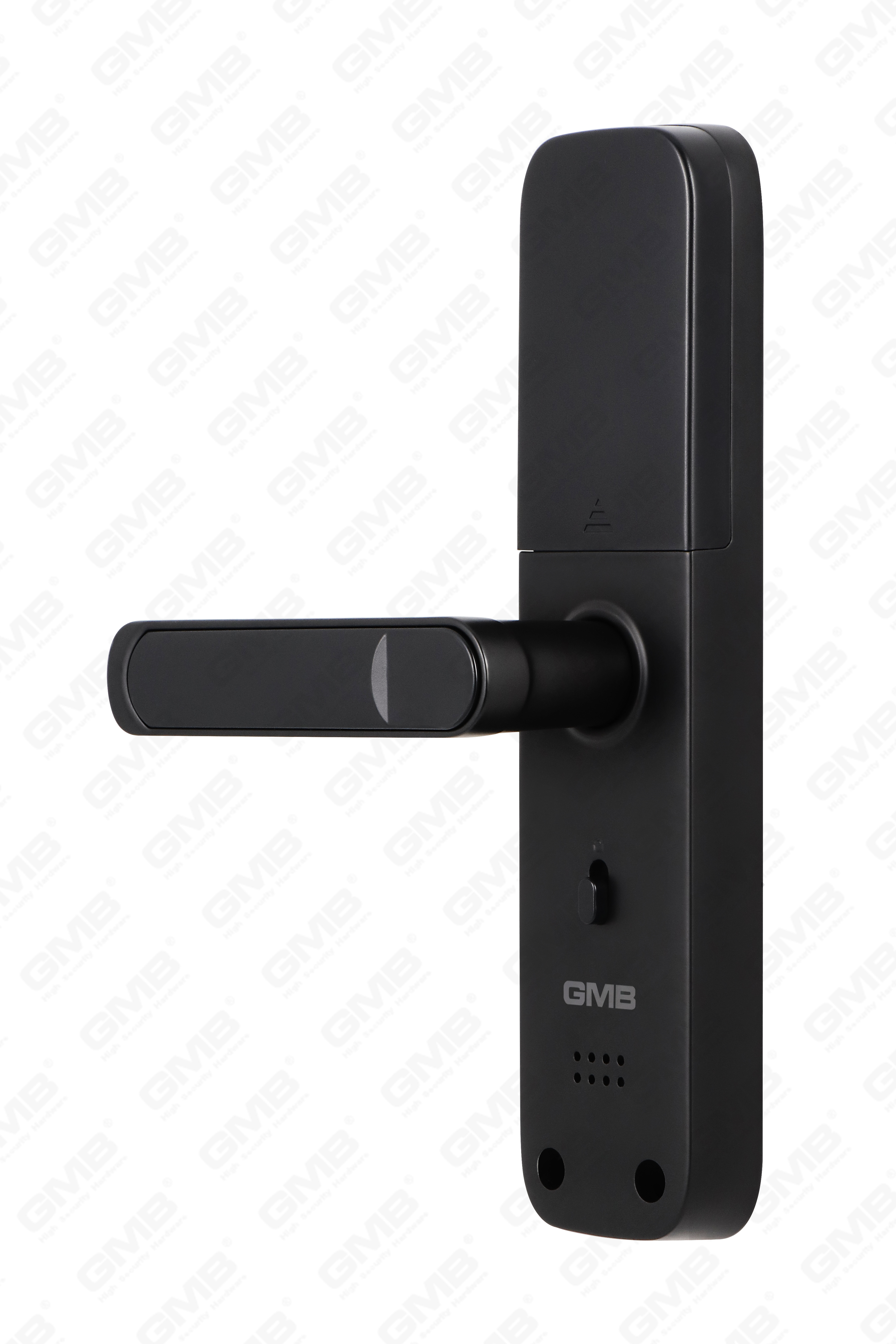 Hoge veiligheid vingerafdruk/RFID -kaart/wifi/tuya/tt app Digital Smart Door Lock (638)