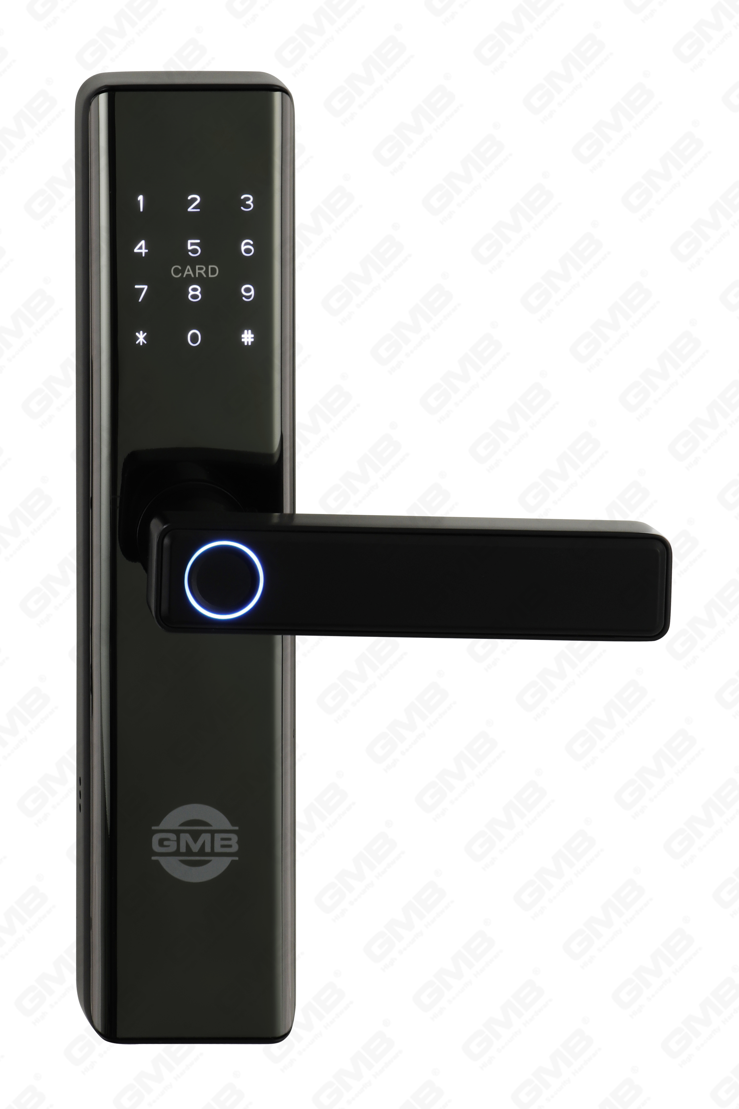 High Security Fingerprint/RFID-kaart/WiFi/Tuya/TT-app/met Camera Intelligent Anti-Peep Digital Smart Door Lock (660p)